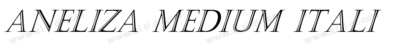 Aneliza Medium Itali字体转换